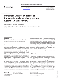 Metabolic control by TOR and autophagy during