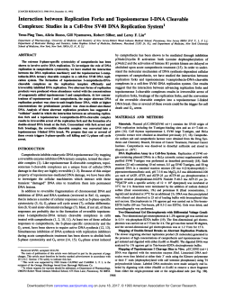 Interaction between Replication Forks and