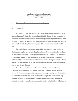 Lien Issues in Consumer Bankruptcy Shane J. McCall, Lentz Clark