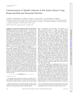 Characterization of Spindle Afferents in Rat Soleus Muscle Using