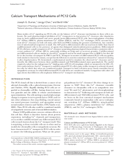 Calcium Transport Mechanisms of PC12 Cells