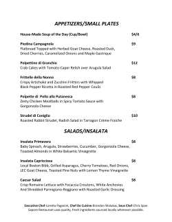 APPETIZER / SMALL PLATES