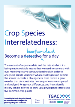 Phylogenetics activities