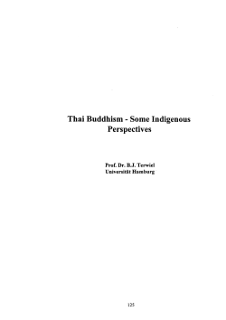 Thai Buddhism - Some Indigenous Perspectives