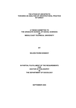 the ethos of architects towards an analysis of