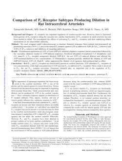 Comparison of P2 Receptor Subtypes Producing Dilation in Rat