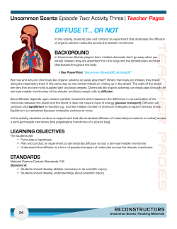 Activity 3 - Web Adventures