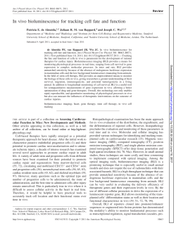 In vivo bioluminescence for tracking cell fate and function