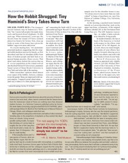 How the Hobbit Shrugged: Tiny Hominid`s Story Takes New Turn