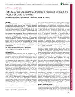 the importance of aerobic scope - Journal of Experimental Biology