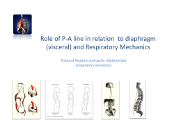 Role of PA line in relation to diaphragm (visceral