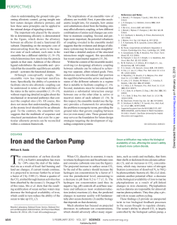 Iron and the Carbon Pump