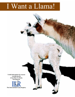 I Want A Llama - Hidden Oaks Llama Ranch