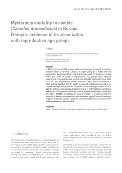 16-dawo621-628:chevalier 24/11/04