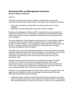 Enterprise Risk and Management Incentives