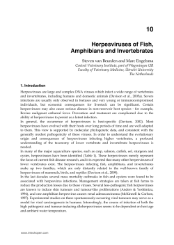 Herpesviruses of Fish, Amphibians and Invertebrates