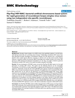 Flip-Flop HSV-BAC: bacterial artificial chromosome based system