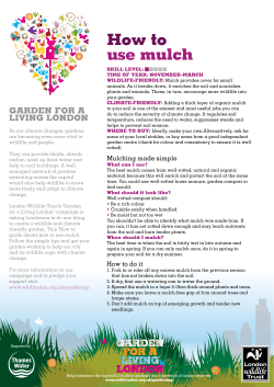How to use mulch - London Wildlife Trust