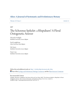 The Schoenus Spikelet: a Rhipidium? A Floral Ontogenetic Answer