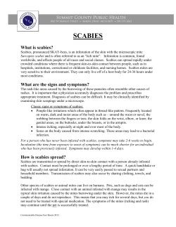 scabies - Summit County Public Health