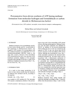Protonmotive force-driven synthesis of ATP during methane
