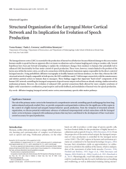Structural organization of the laryngeal motor cortical network and its