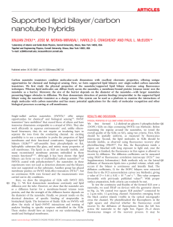 Supported lipid bilayer/carbon nanotube hybrids