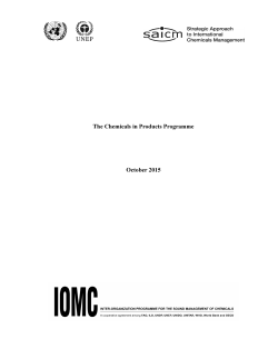 Chemicals in Products Programme