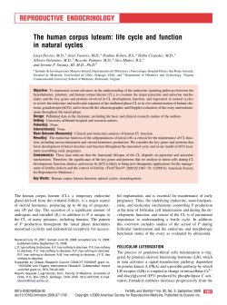 The human corpus luteum: life cycle and function in - e
