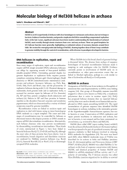 Molecular biology of Hel308 helicase in archaea