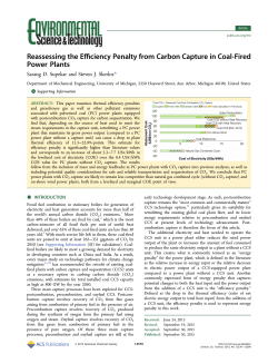 Reassessing the Efficiency Penalty from Carbon
