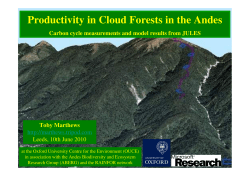 Productivity in Cloud Forests in the Andes