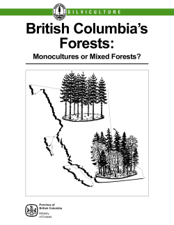 British Columbia`s Forests: Monocultures or Mixed Forests?