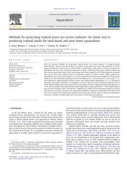 Methods for generating triploid green sea urchin embryos: An initial
