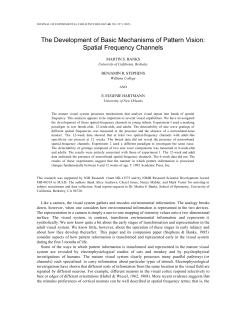 Spatial Frequency Channels - Bank`s Lab