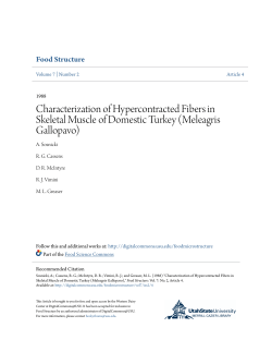 Characterization of Hypercontracted Fibers in Skeletal Muscle of