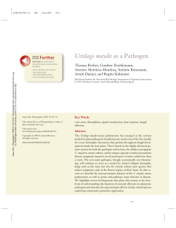 Brefort-Annurev-phyto-Ustilago maydis 2009