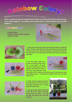 Here`s a quick and easy fun experiment for those of