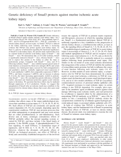 Genetic deficiency of Smad3 protects against murine ischemic acute