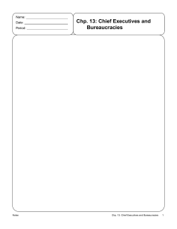 Chp. 13: Chief Executives and Bureaucracies