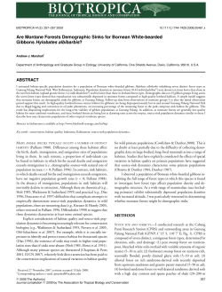 Are Montane Forests Demographic Sinks for Bornean White