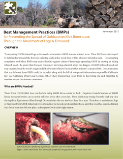 Best Management Practices (BMPs)