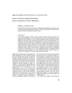 Aspects of Nucleocytoplasmic Exchanges and the