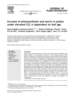 Increase of photosynthesis and starch in potato under elevated CO2