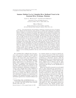 Summer Habitat Use by Columbia River Redband Trout in the