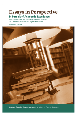 Essays in Perspective In Pursuit of Academic Excellence