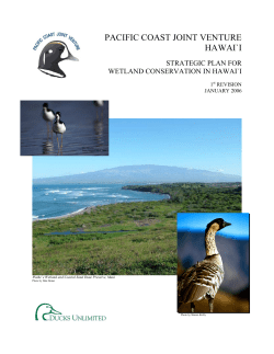 PACIFIC COAST JOINT VENTURE HAWAI`I
