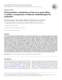 Photosynthetic contribution of the ear to grain