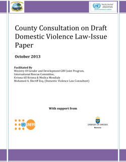 County Consultation Report on Domestic Violence Draft Law