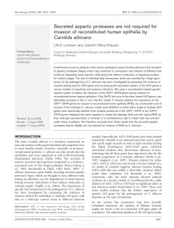 Secreted aspartic proteases are not required for invasion of